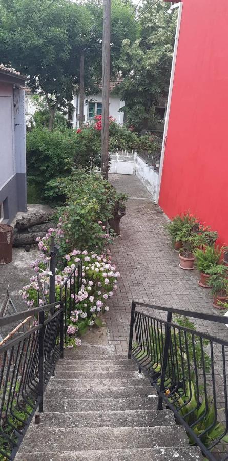 Stan Za Iznajmuvanje So Parking,Blisku Do Centar. Kumanovo Exterior foto